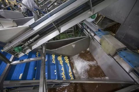 Industrial Peeling Machines: Types, Working, Applications & Selection